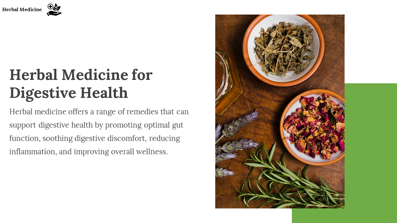 Herbal Medicine for Digestive Health slide describing herbal remedies for optimal gut function on a white and green backdrop.