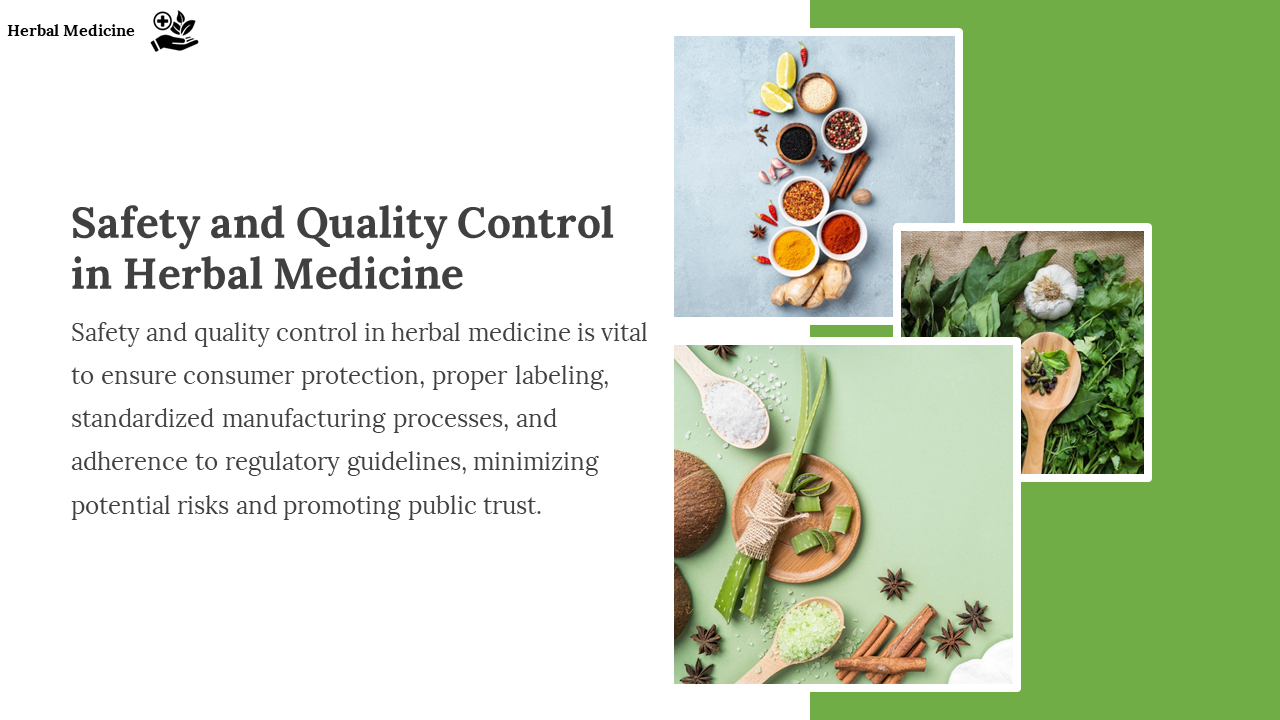 Slide featuring various herbs and spices for quality control in herbal medicine production on a green and white backdrop.