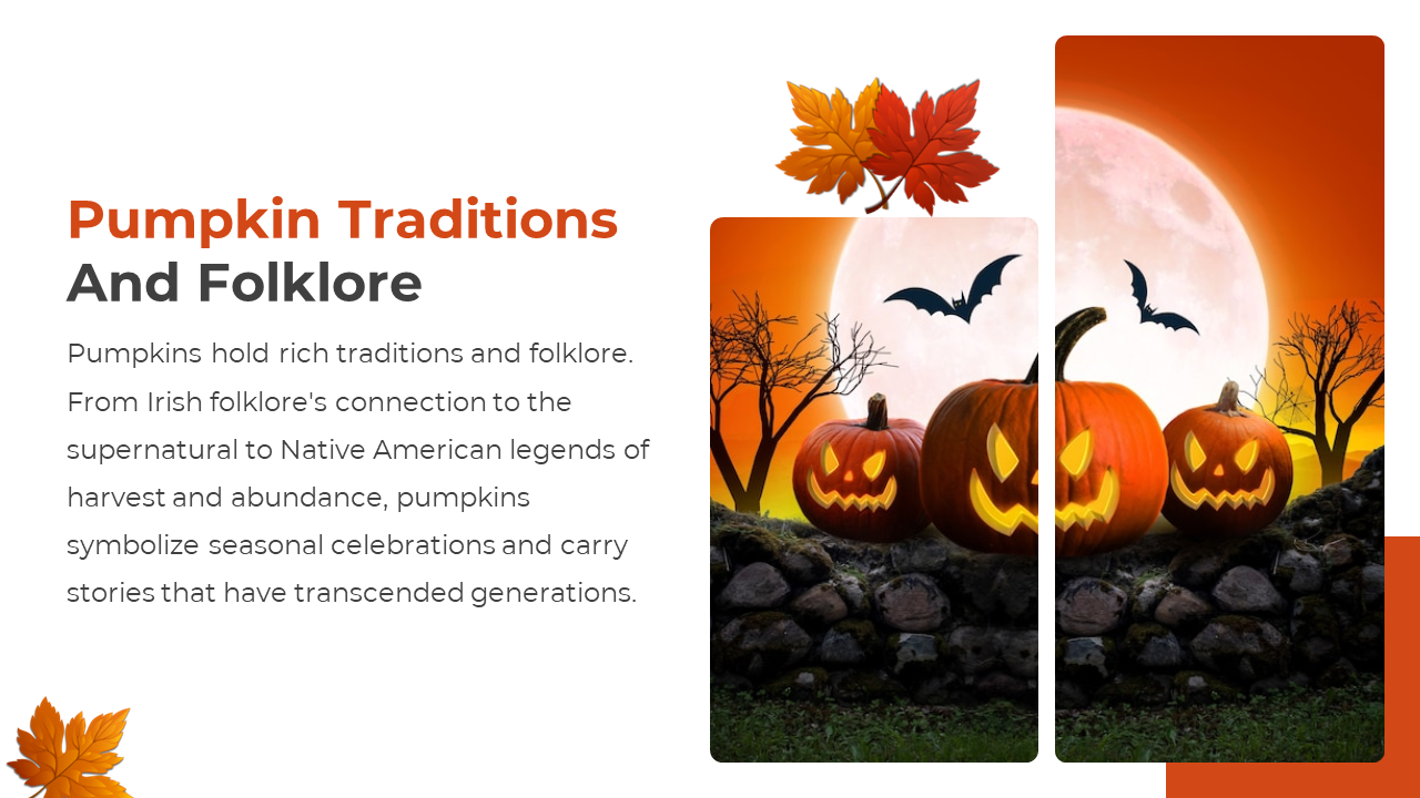 Pumpkin Traditions and Folklore Slide describing cultural significance with 3 jack o lanterns under a full moon with bats.