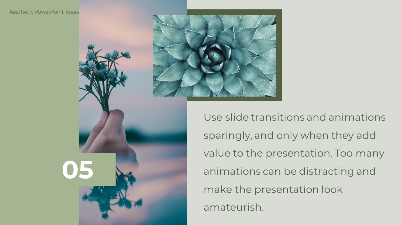 Slide emphasizing the use of transitions and animations sparingly with an image of hand holding flowers and succulent plant.