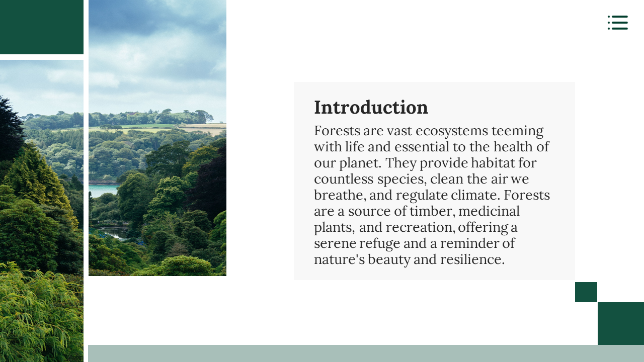 A lush forest scene with an introductory text on the vital role forests play in sustaining biodiversity on a white theme.