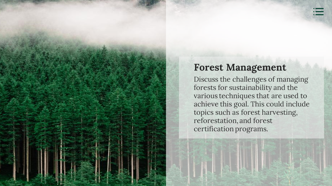 A dense misty forest with tall pine trees under a blanket of fog illustrates the challenges of sustainable forest management.