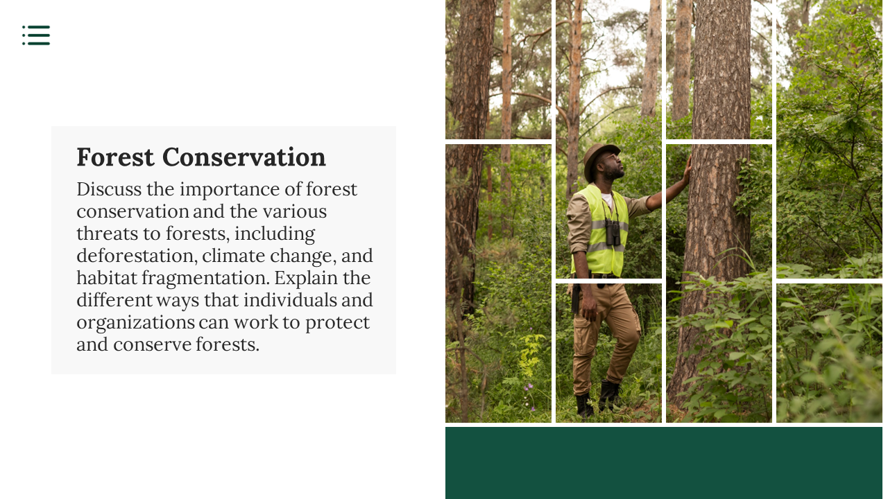 A person in workwear examines a large tree trunk in a sun dappled forest on a white backdrop.