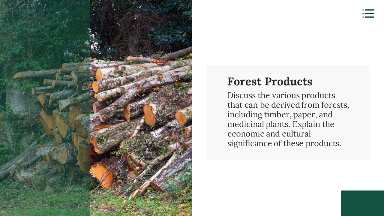 A large pile of freshly cut logs with visible tree rings sits in forest clearing illustrating the concept of forest products.