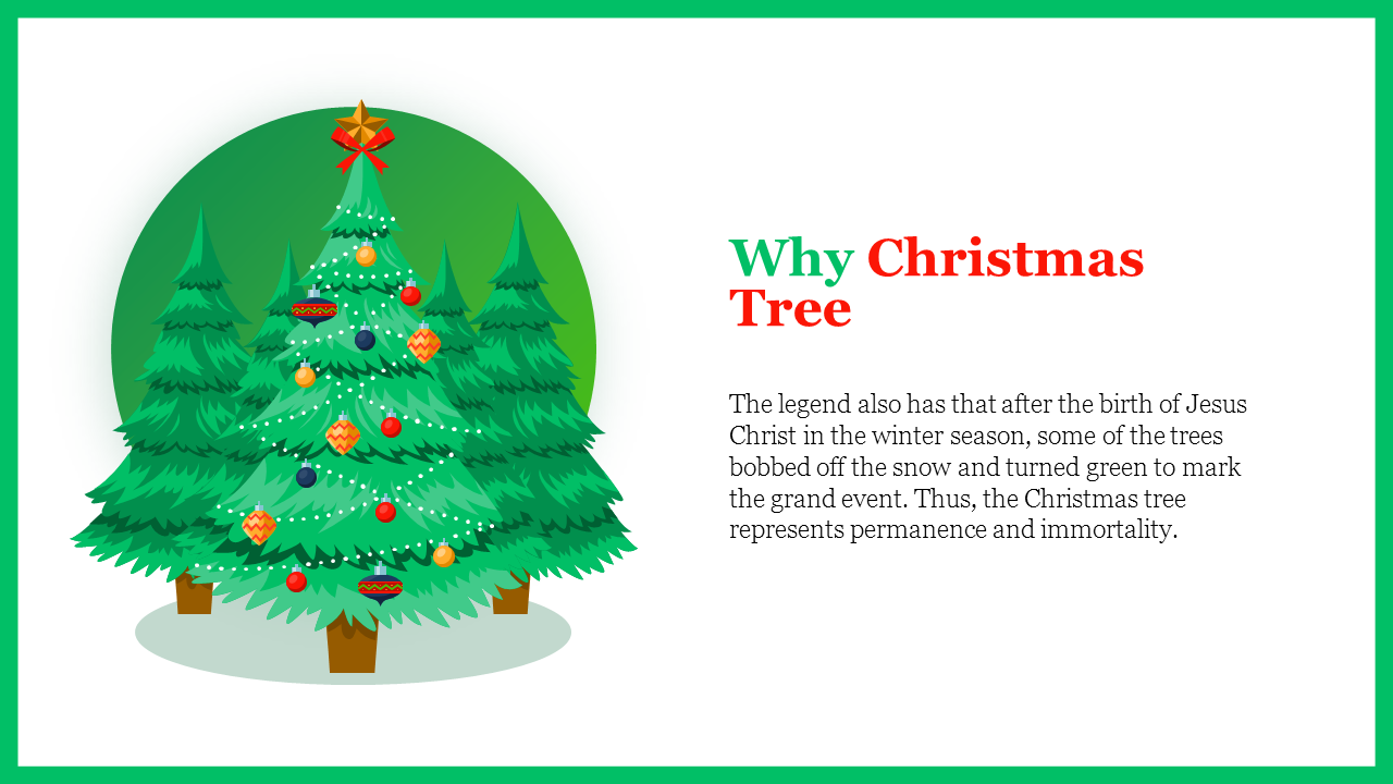 An illustration explains why christmas tree depicting decorated evergreen trees with ornaments and star on a white backdrop.