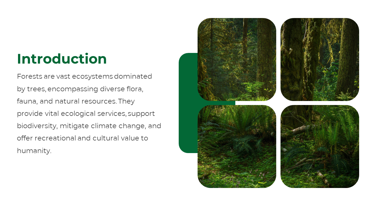 Forest introduction slide featuring forests and their ecological services, paired with four images of forest landscapes.