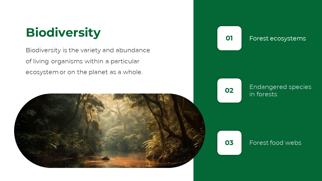 Slide with a description of biodiversity and a list of three topics related to forests paired with a forest landscape.