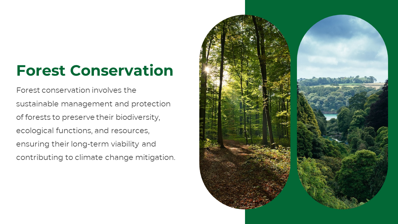 Forest Conservation discusses preservation through sustainable management, with images of forests.