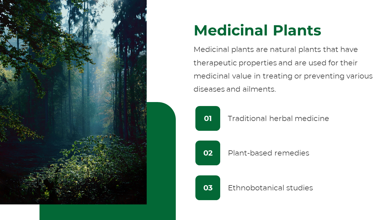 Medicinal Plants slide with the description of plants having therapeutic properties, with a background image of a forest.