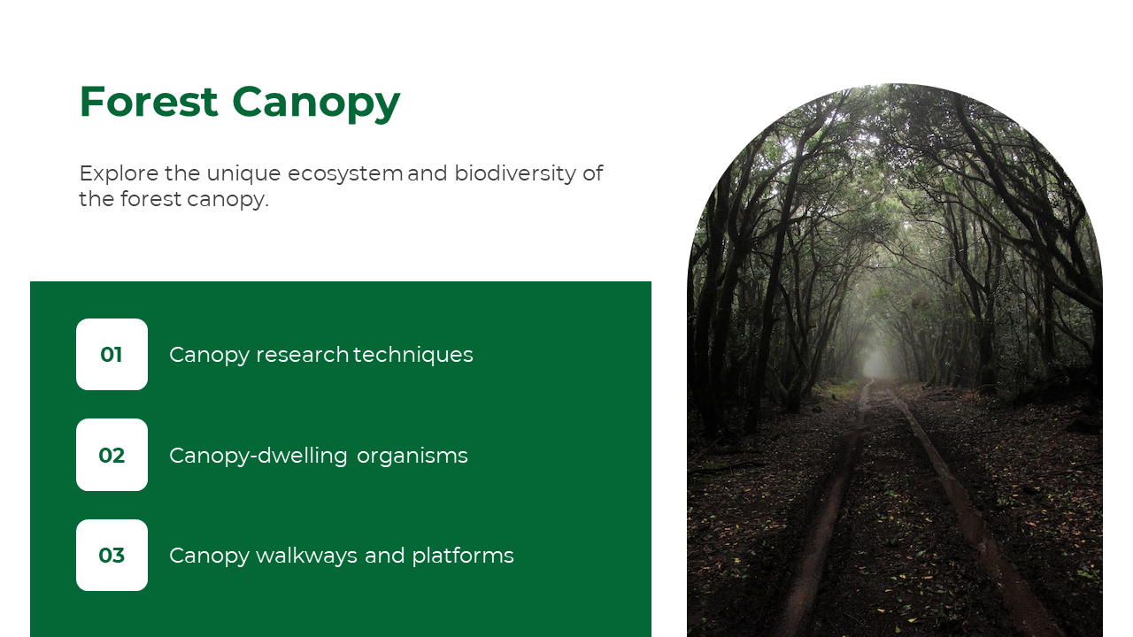 Forest Canopy slide introduces the unique ecosystem and biodiversity of the forest canopy, with bullet points.