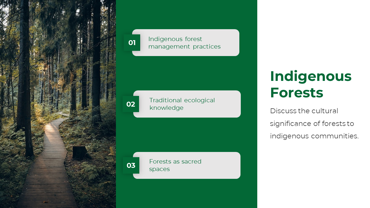 Slide with a focus on the cultural significance of forests to Indigenous communities, featuring points on a green theme.