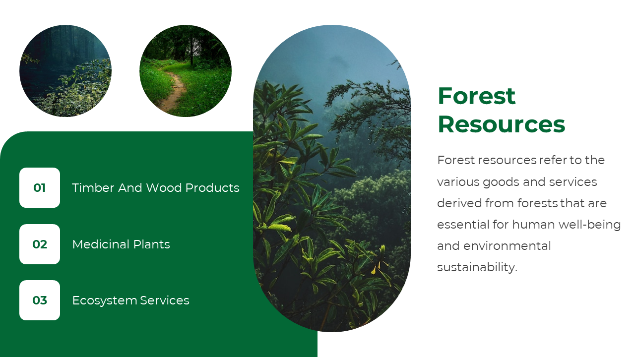 Forest Resources slide explains the importance of goods and services, featuring a scenic forest image with multiple sections.