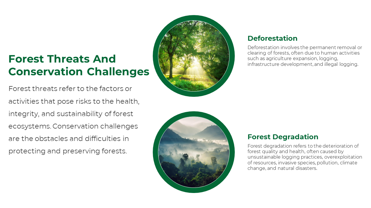 Forest Threats And Conservation Challenges slide with images of a peaceful forest and misty mountain landscape.
