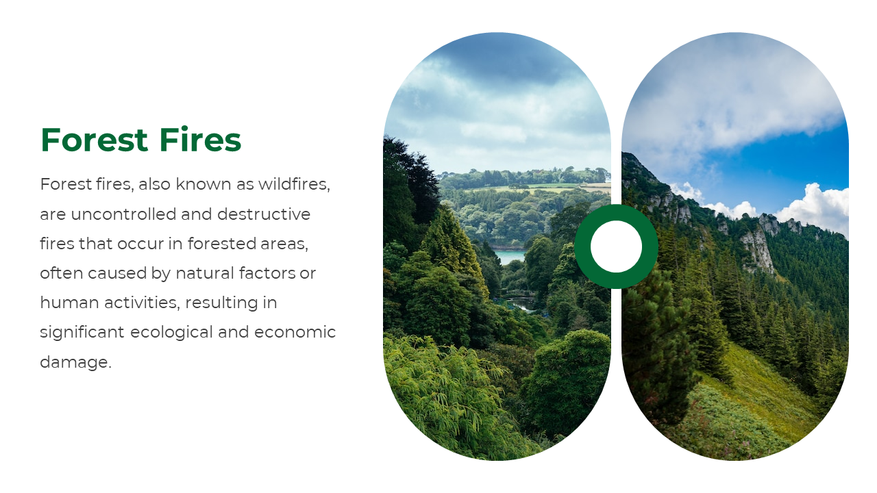 Forest Fires slide explaining wildfires, accompanied by an image of a forest landscape with trees and a cloudy sky.
