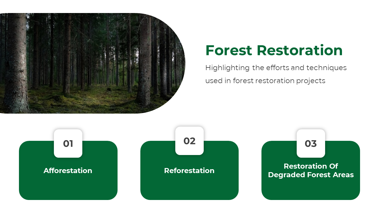 Slide featuring an image of a lush forest with tall trees, and text highlighting forest restoration efforts and techniques.