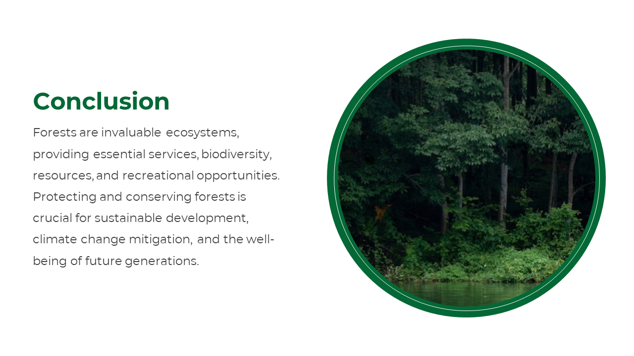Conclusion slide featuring an image of a serene forest and text discussing the importance of forest protection.