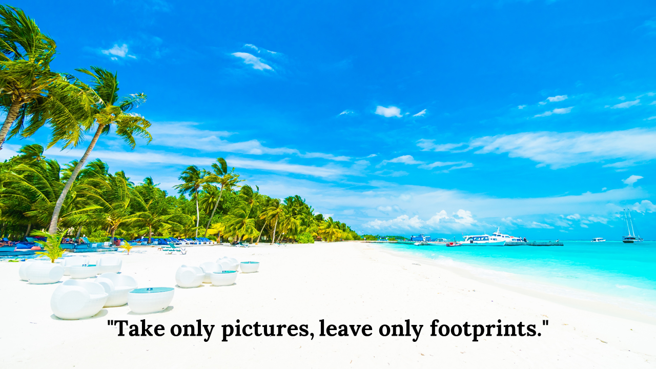 A tropical beach with palm trees, clear water, and a quote saying, take only pictures, leave only footprints on a blue theme.