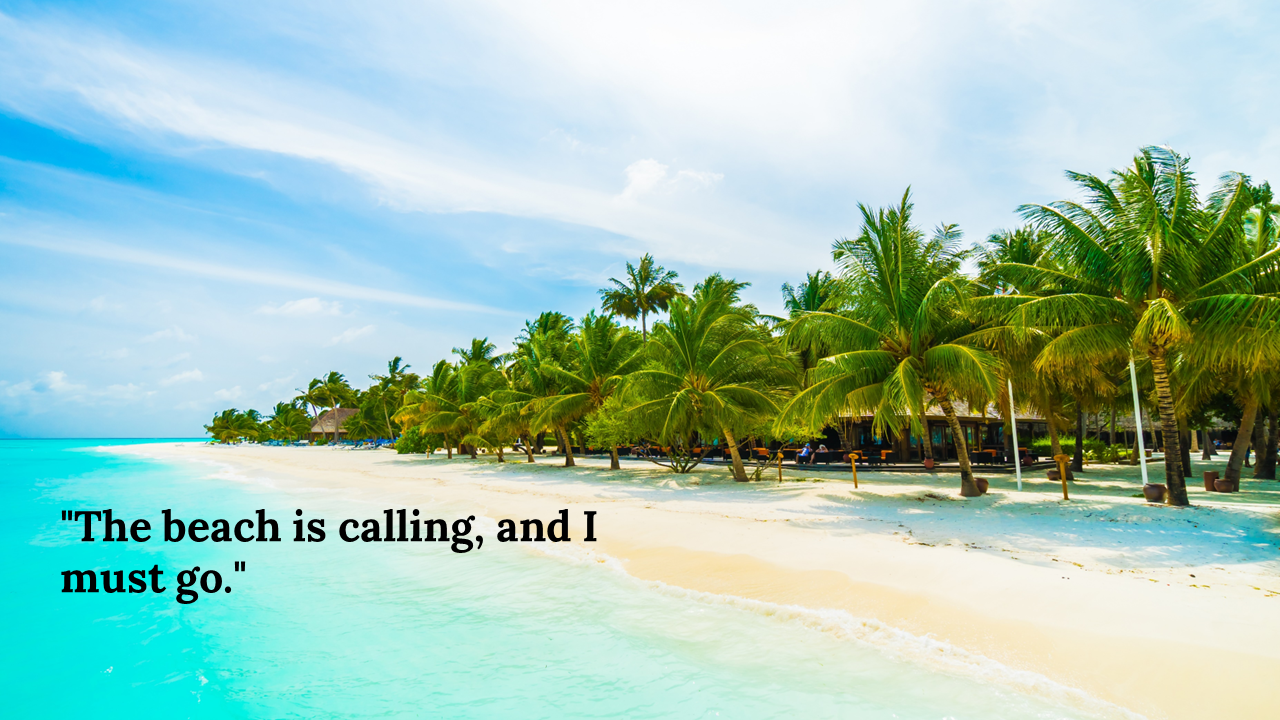 A beautiful beach with clear turquoise water, palm trees, and the quote the beach is calling, and I must go.