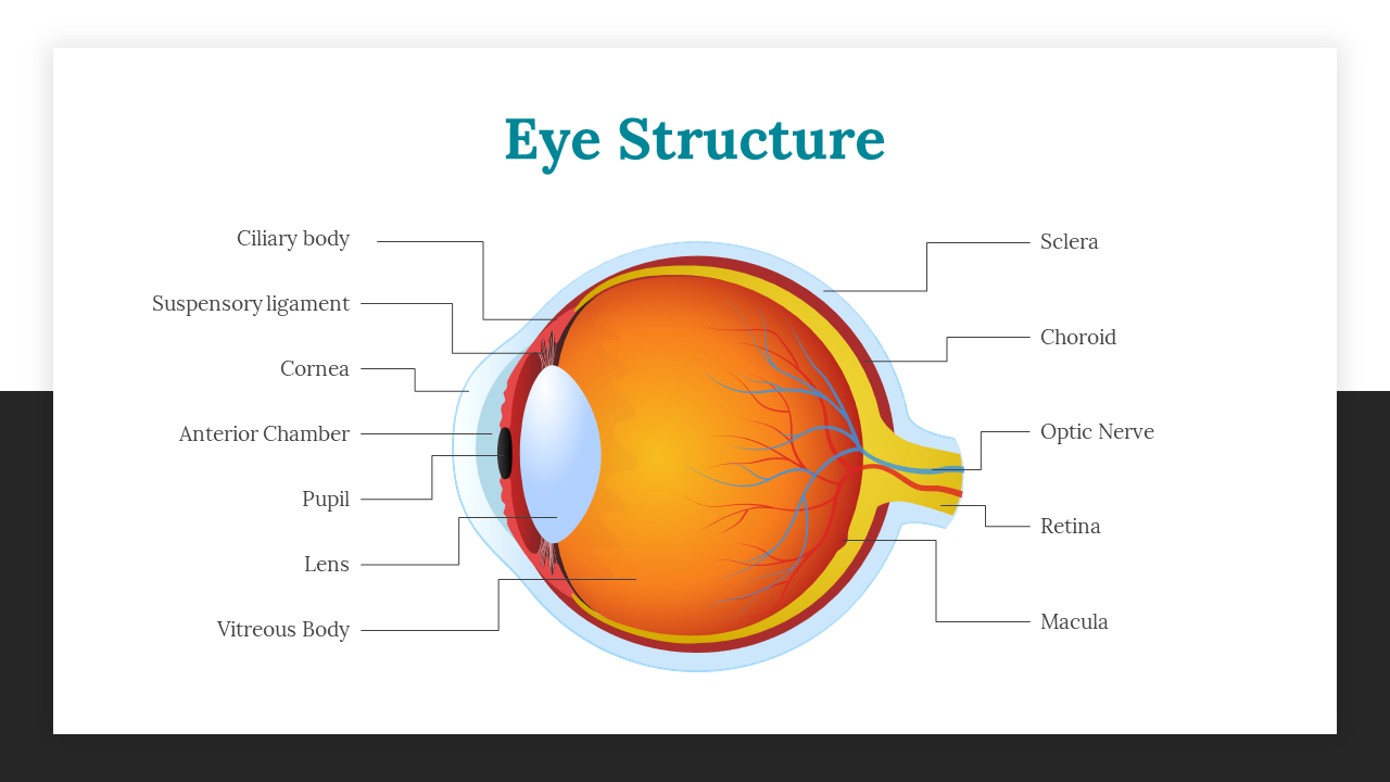 Diagram showing the structure of the human eye with labeled parts including the cornea, lens, pupil, retina and optic nerve.