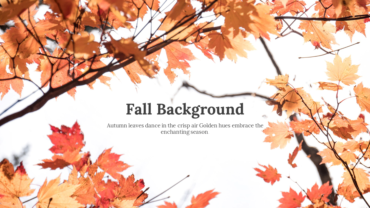 A vibrant display of autumn leaves in fiery shades of red, orange, and yellow, with a clear sky in the background.