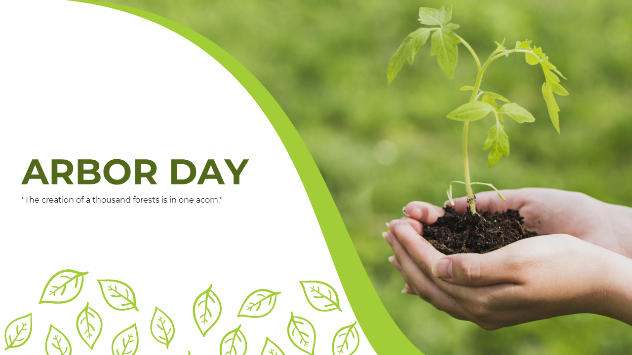 Green curved border separating the white space with title and leaf motif, and a young plant in soil cradled by hands.