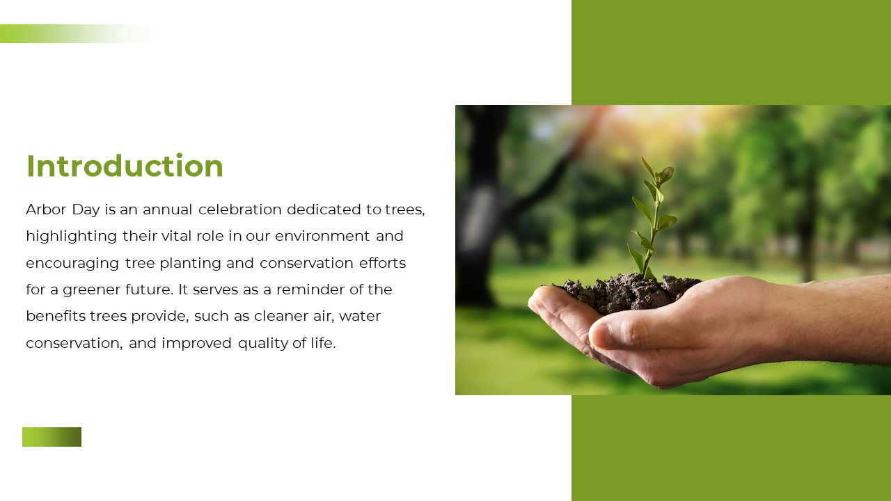 A hand holding a small plant with soil, with blurred trees on the background, and green sidebar on the right.