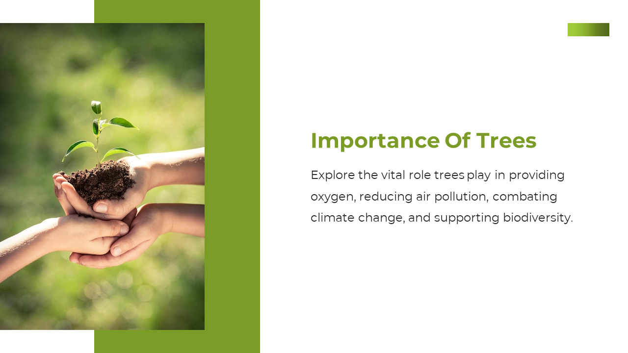 Green framed image with a young plant held by three stacked hands on the left, with text on the right white space.