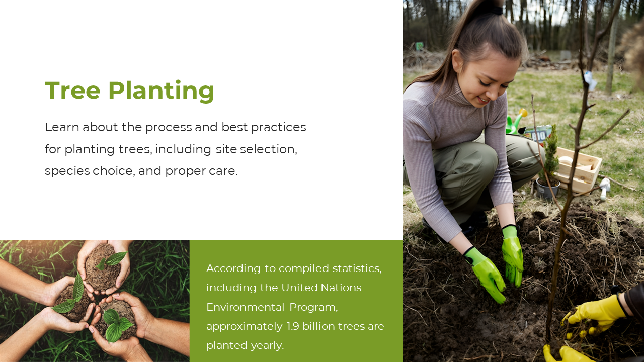 Slide with two images of diverse hands holding saplings in soil, and a woman planting a small tree with gloved hand.
