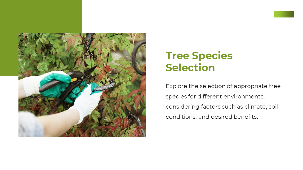 Slide shows hands holding pruning shears with gloves, cutting branches, and text on the right, with green accents.