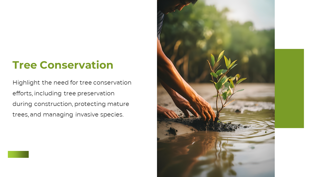 Slide shows a person planting a tree in wet soil with water nearby, and text on the left, with green accents.