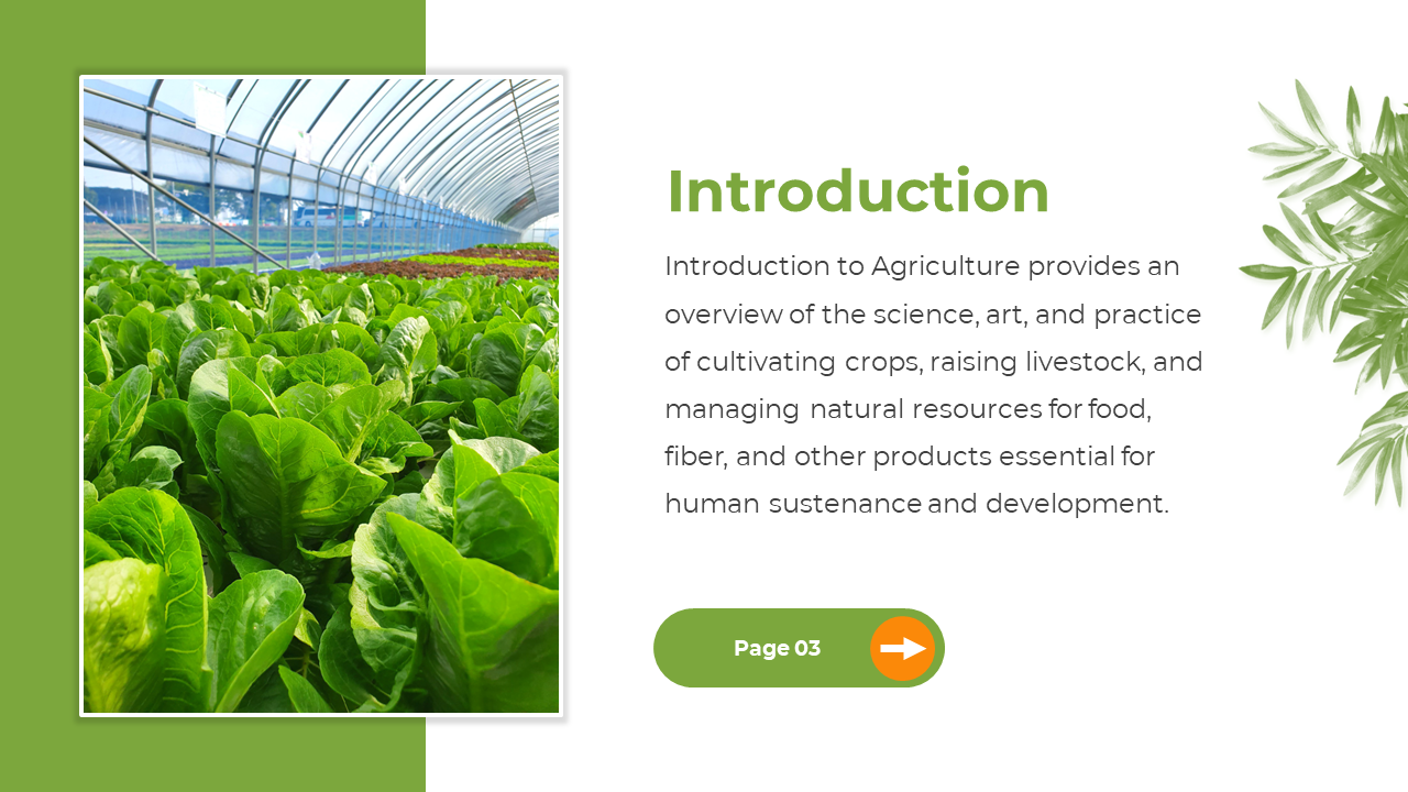 Left aligned photo of leafy greens in a greenhouse, text block on right with header and leaf accents.
