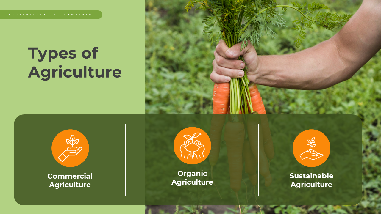 Split layout with green left panel, right side shows hand holding carrots, bottom row with three orange circular icons.