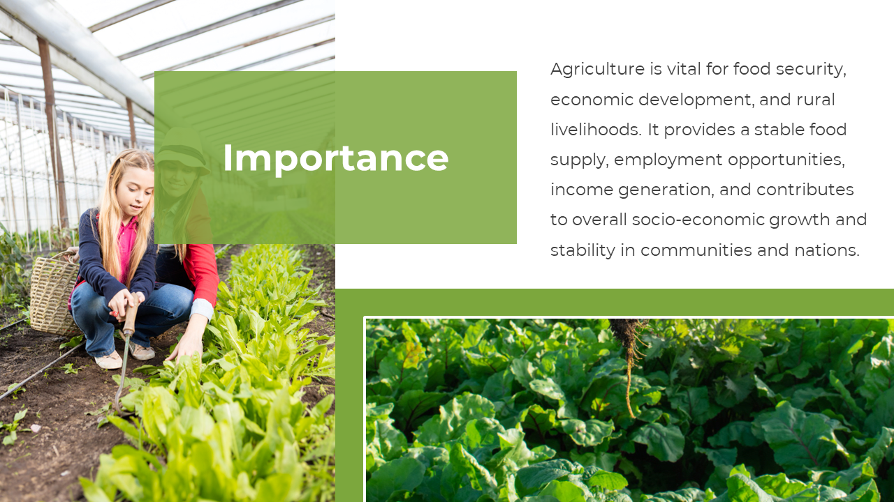 Farming scene with girl kneeling, green box with title at the center, text and crop field on right white layout.