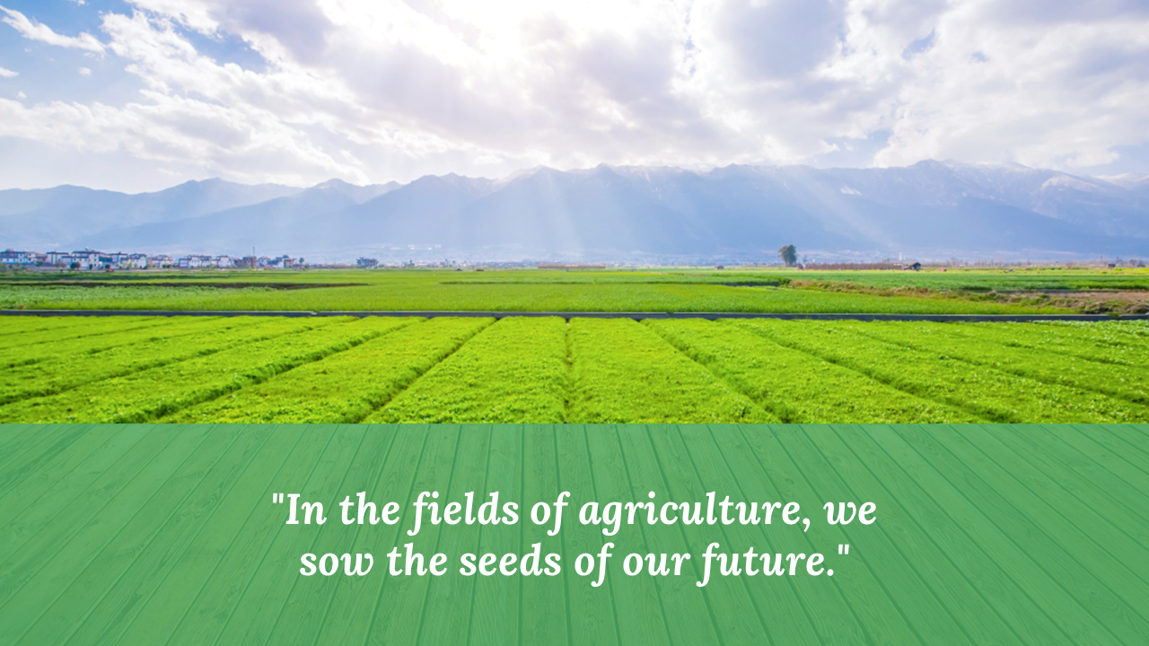 Wide view of green farmland under cloudy sky with sun rays, quote box over teal wooden texture at bottom.