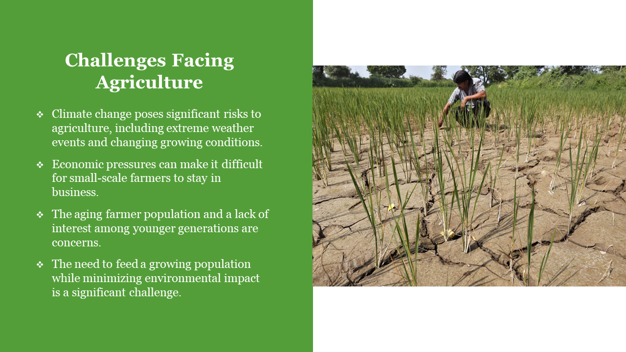 Split layout with green text box on left and cracked brown field with sparse crops and a person inspecting on right.