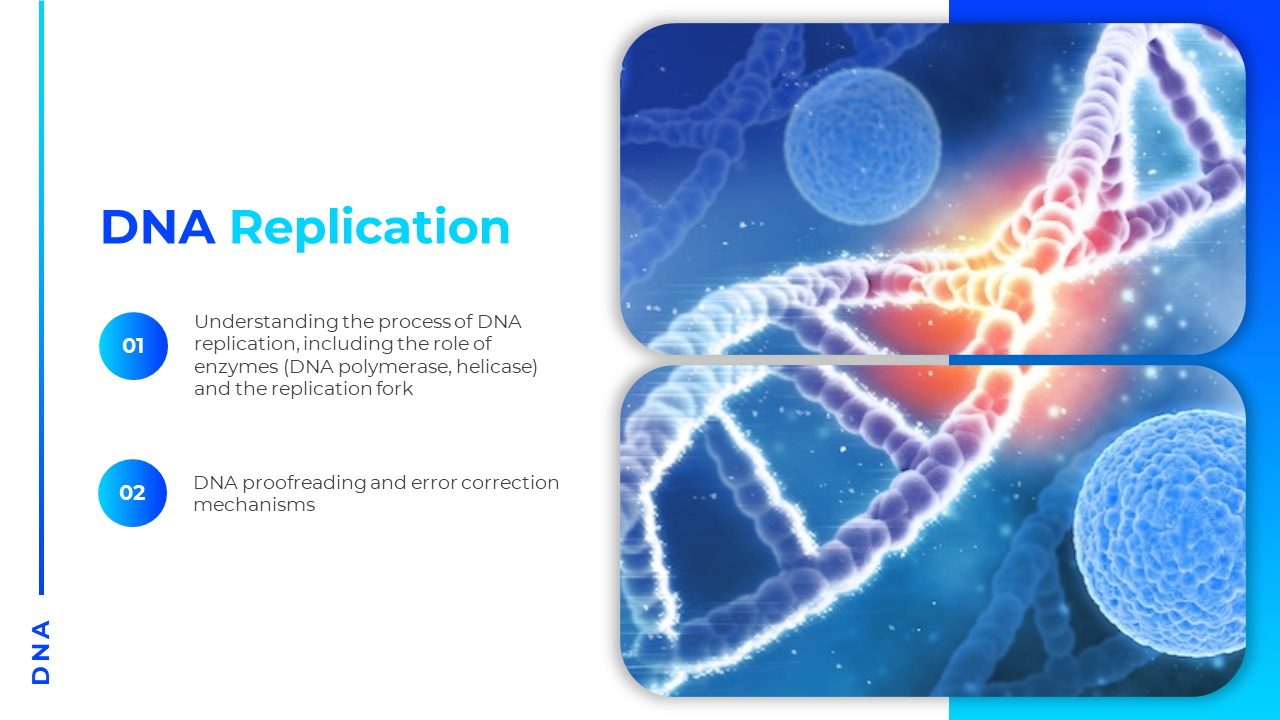 Replication title and two blue numbered points on left and two glowing DNA strands with blue cells and light burst.