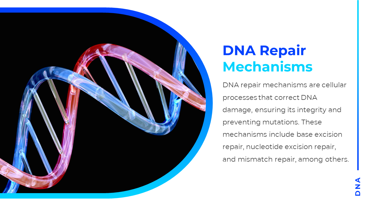 Blue and pink DNA strand curves on left over black background and right side has bold title and text on white space.