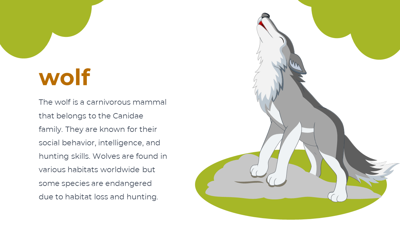 Illustrated gray wolf with white fur howling on a gray rock, set against white background with green tree shapes above.