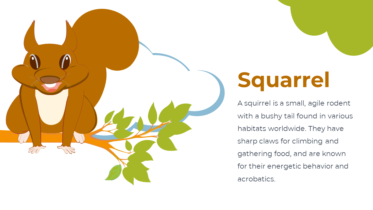 Illustrated squirrel with brown fur and white belly on a branch with green leaves, and blue cloud shape behind.