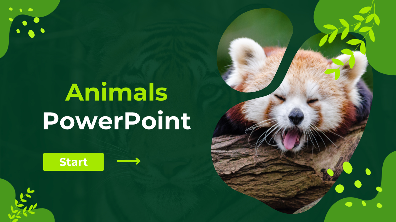 Dark green leafy background with blurred tiger, and right side shows red panda in abstract frames, and bold title on left.