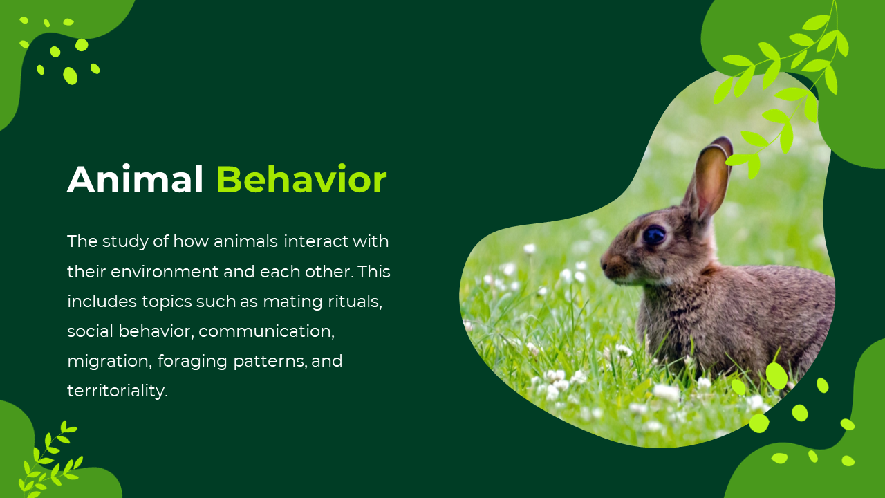Dark green background with leafy accents, white text, and organic shaped photo of a rabbit sitting on grass to the right.