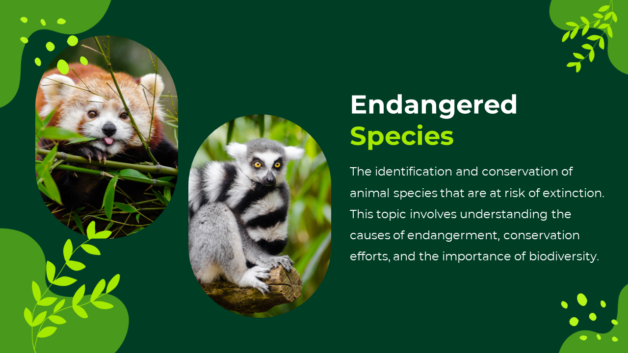 Dark green background with leafy accents, white text on right, and two oval shaped images of a red panda and lemur.