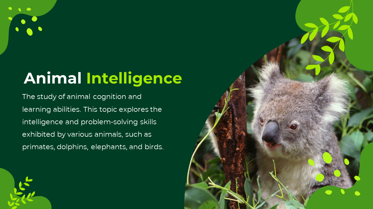 Dark green background with leafy corners, left aligned text, and a koala photo in a rounded frame on the right.