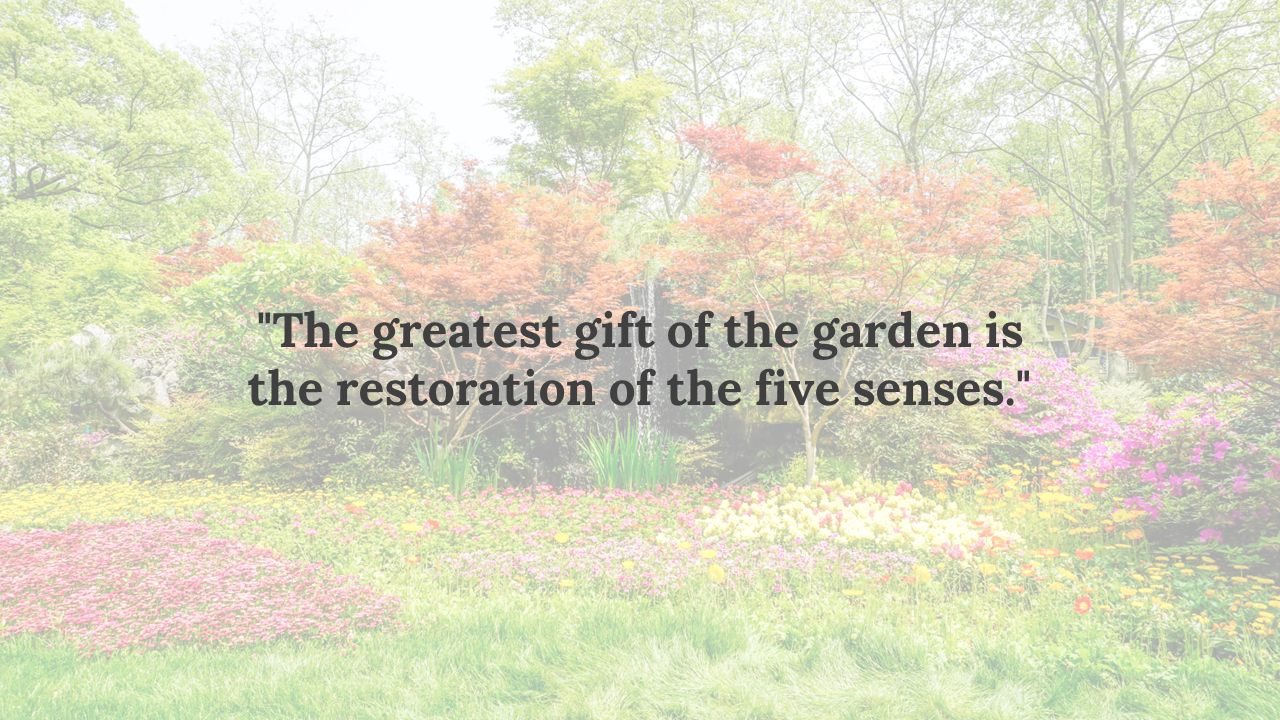 Garden landscape with pastel flower patches, maple like red and thick green trees in the background, overlaid by dark text.