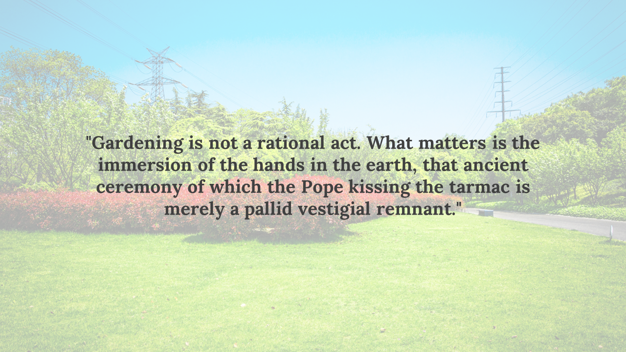 Bright garden with open grass, red bushes, dense trees, and visible electric towers, overlaid by dark text in the center.