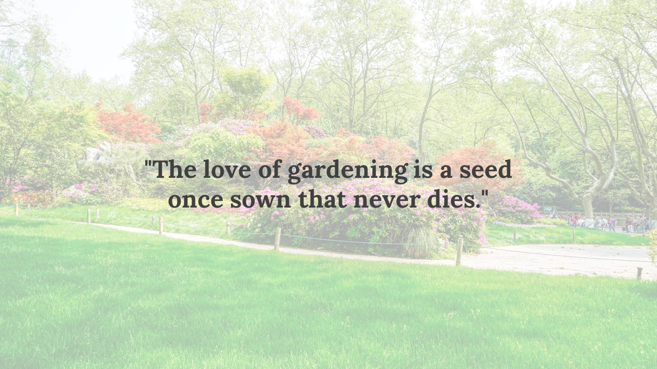 Landscape view of a bright garden with a green lawn, multicolored shrubs, and tall leafy trees, overlaid by black text.