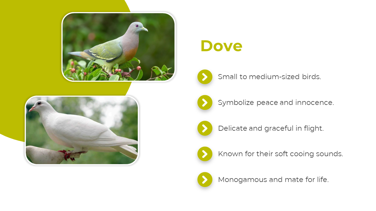 Two doves in rounded photos are stacked left on a white and green layout with circular icons and text on the right.