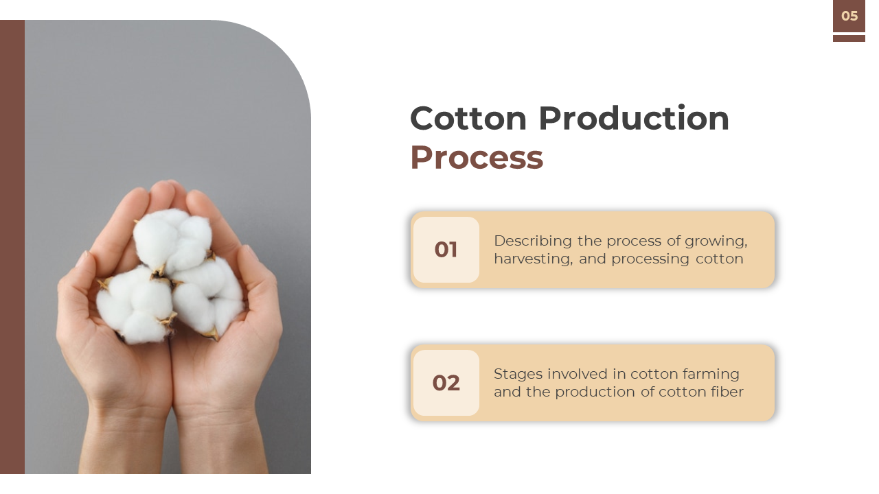 A pair of hands holds white cotton bolls on the left, with two beige text boxes aligned vertically on a white background.