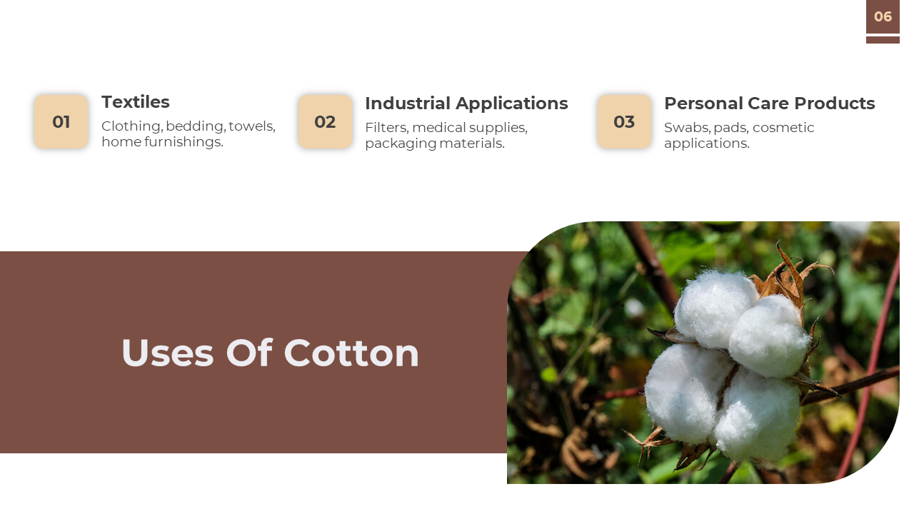Slide features cotton on a plant in a rounded frame at right, with three beige number boxes and title in a brown box below.