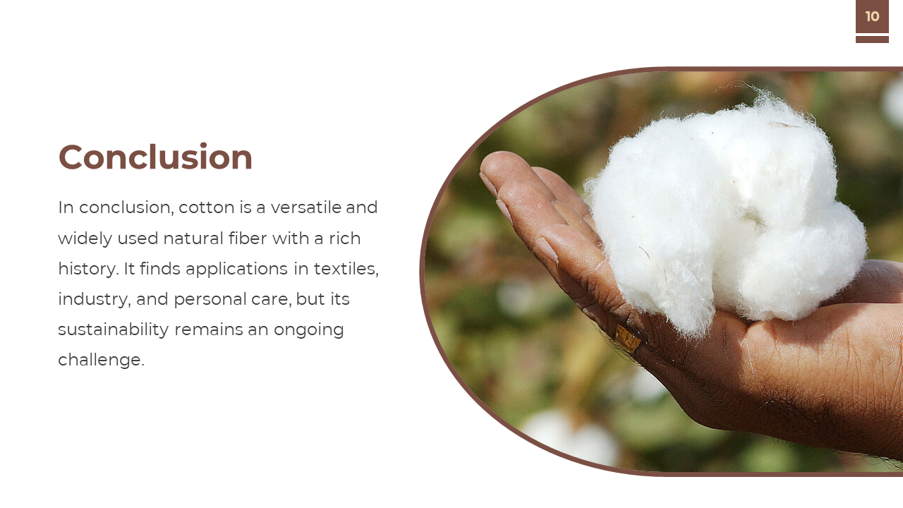 A hand holds a fluffy white cotton boll in a browncurved frame on the right, with left aligned text on a white background.